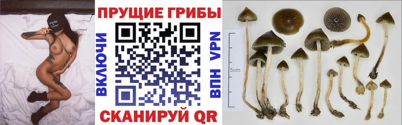 Галлюциногенные грибы прущие грибы  Краснослободск 